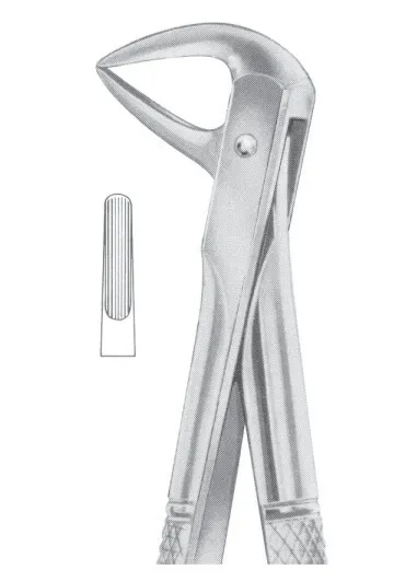 Fig. 114 upper roots 